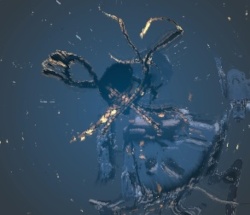 echo